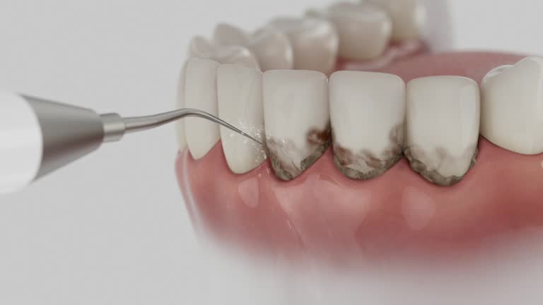 Reliable Dental contractor in Laurie, MO by Dentist Open Now